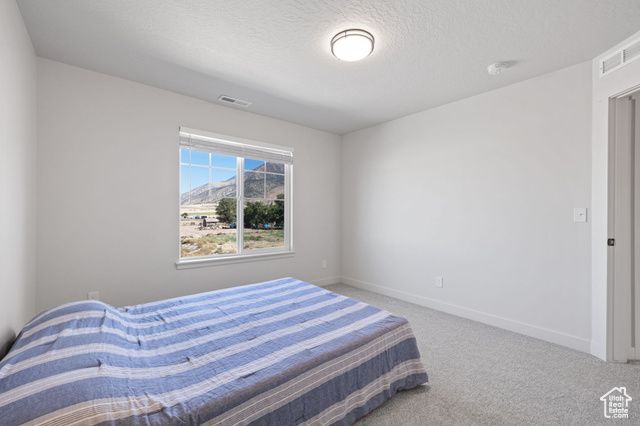 119 W 1360 N, Nephi, UT 84648