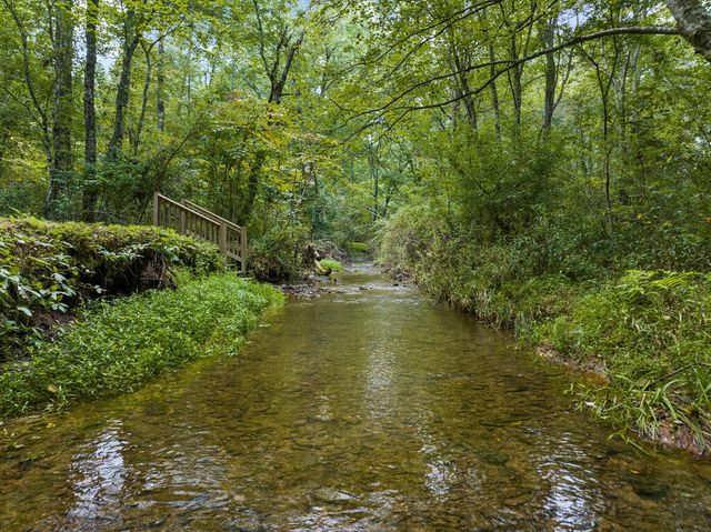 123 Lone Oak Drive, Blue Ridge, GA 30513