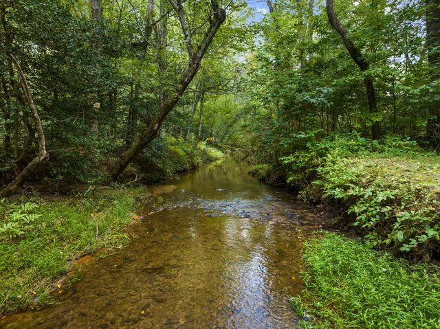 123 Lone Oak Drive, Blue Ridge, GA 30513