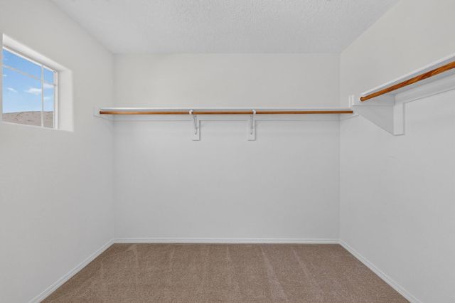 12119 Badger Mountain Trail NW, Albuquerque, NM 87120