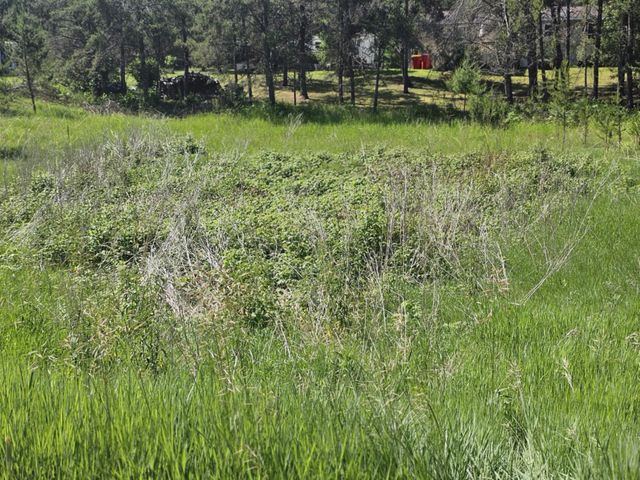 tbd 1st Ave, Breezy Point, MN 56472