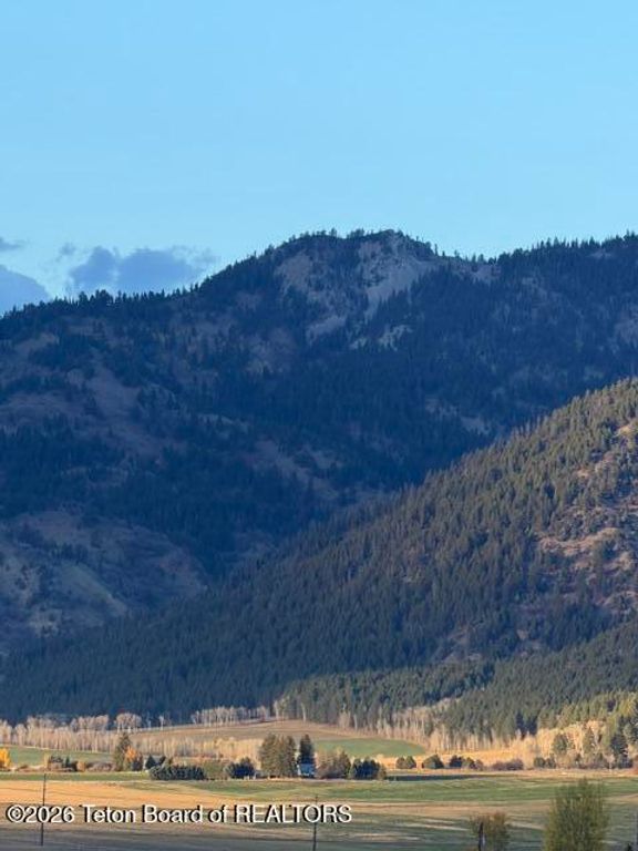 LOT 31 PINKY WINKY DRIVE, Etna, WY 83118 photo 4