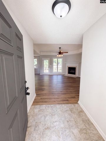 238 Colony Lakes Drive, Lexington, SC 29073