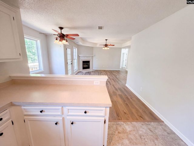 238 Colony Lakes Drive, Lexington, SC 29073