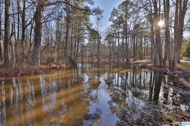 4435 RENFROE ROAD, Talladega, AL 35160