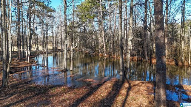 4435 RENFROE ROAD, Talladega, AL 35160