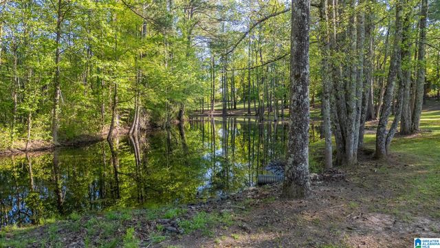 4435 RENFROE ROAD, Talladega, AL 35160