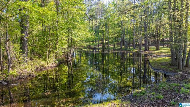 4435 RENFROE ROAD, Talladega, AL 35160