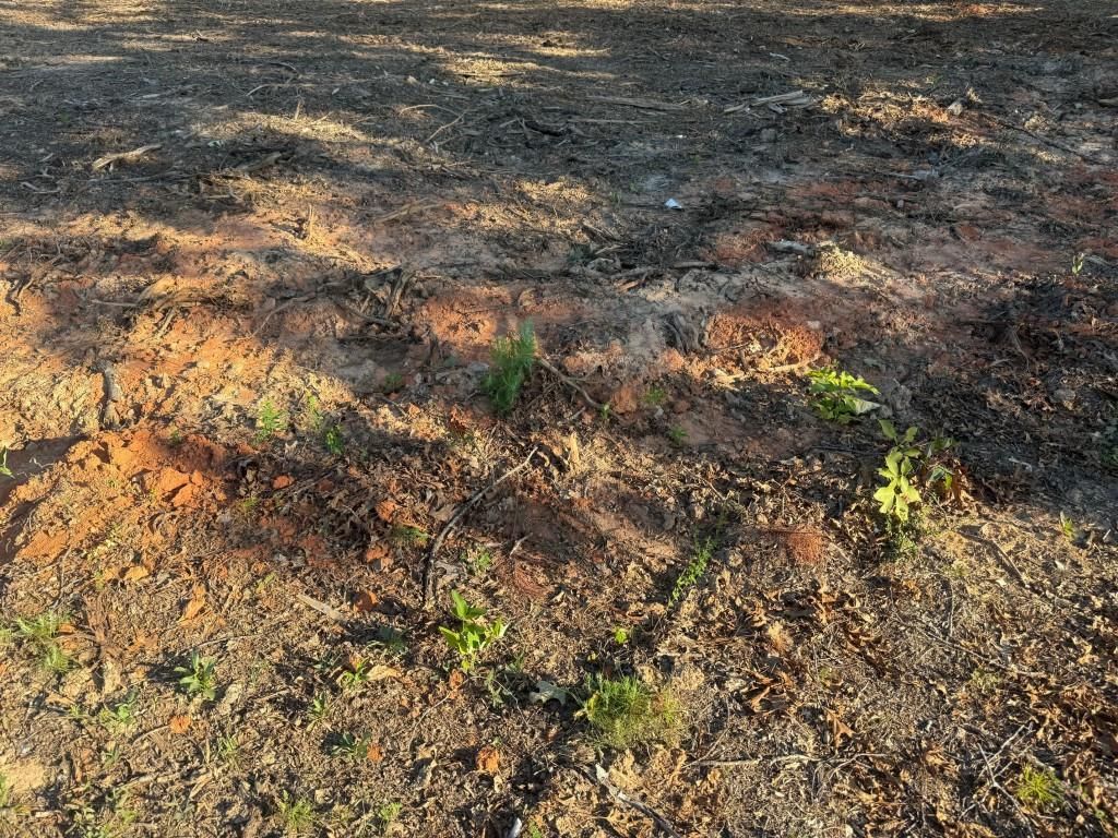 3980 Highway 5, Douglasville, GA 30135