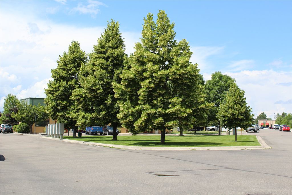 2825 Stockyard Road F3, Missoula, MT 59808 photo 17