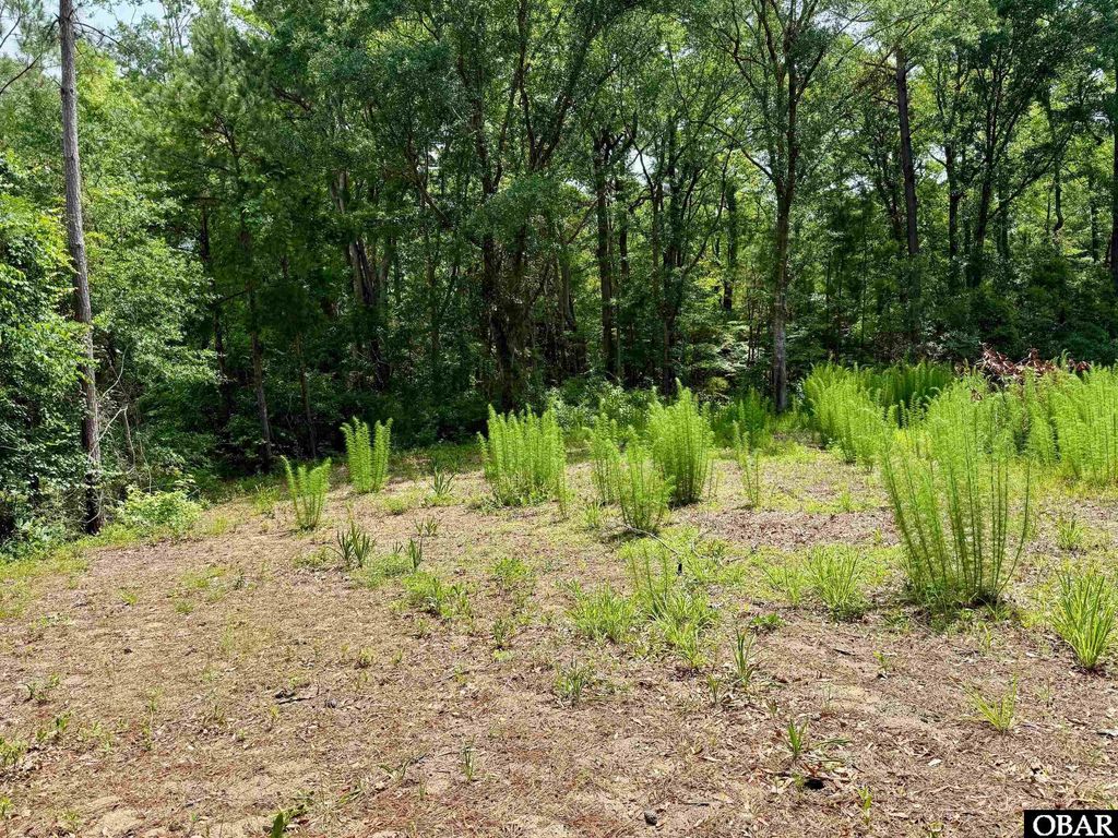 Image 4 of property listing at 5031 Hornbeam Road Lot 3, Kitty Hawk, NC 27949