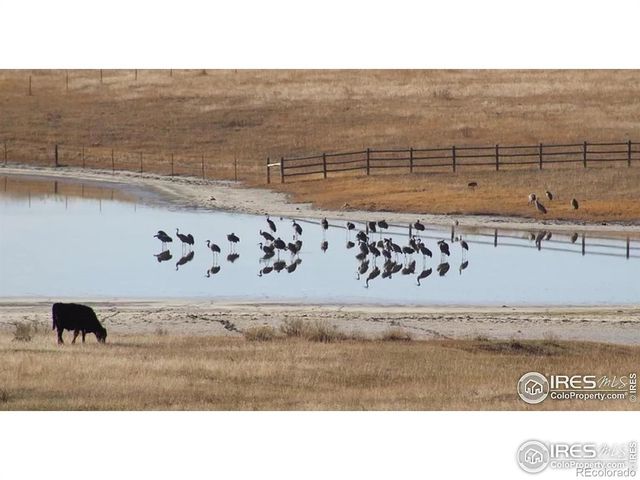 2272 Golden Valley Road, Loveland, CO 80537