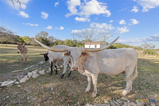 375 Branch Creek Trail, Liberty Hill, TX 78642