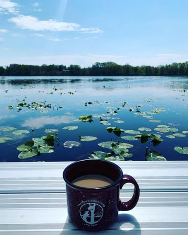 7991 N Rose Road, Hope Twp, MI 49046