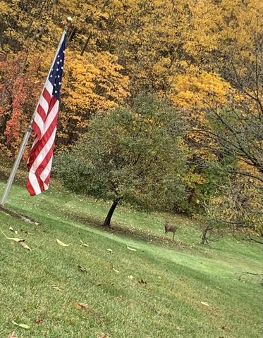 7991 N Rose Road, Hope Twp, MI 49046