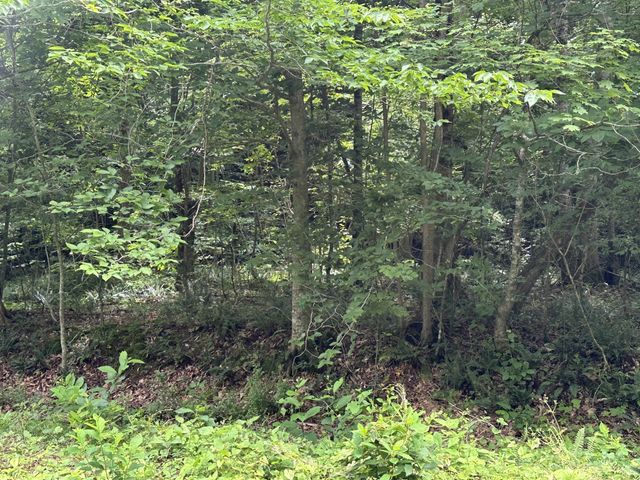 2812 Union Hill Rd, Joelton, TN 37080