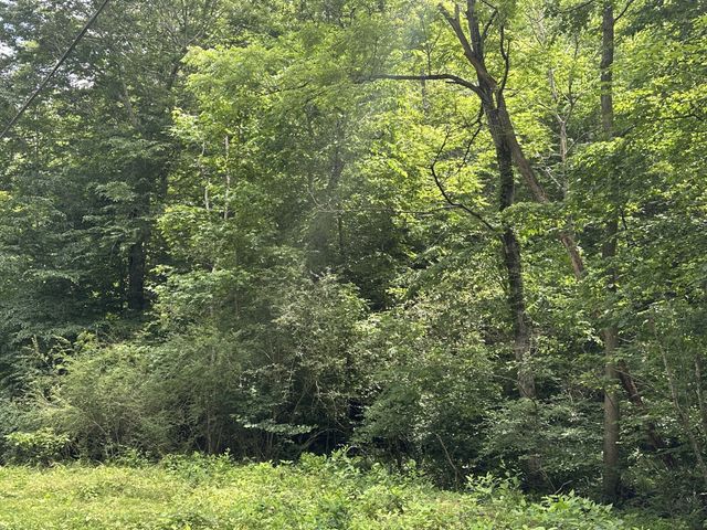2812 Union Hill Rd, Joelton, TN 37080