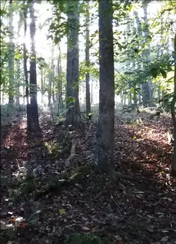 2812 Union Hill Rd, Joelton, TN 37080