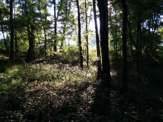 2812 Union Hill Rd, Joelton, TN 37080