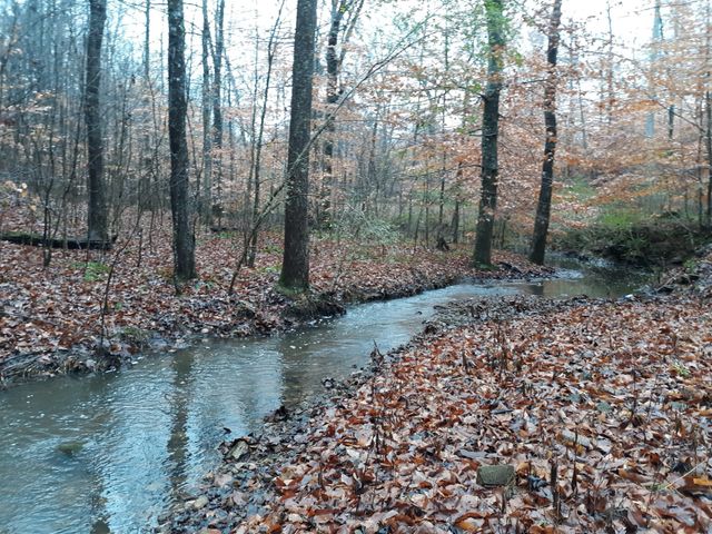 2812 Union Hill Rd, Joelton, TN 37080