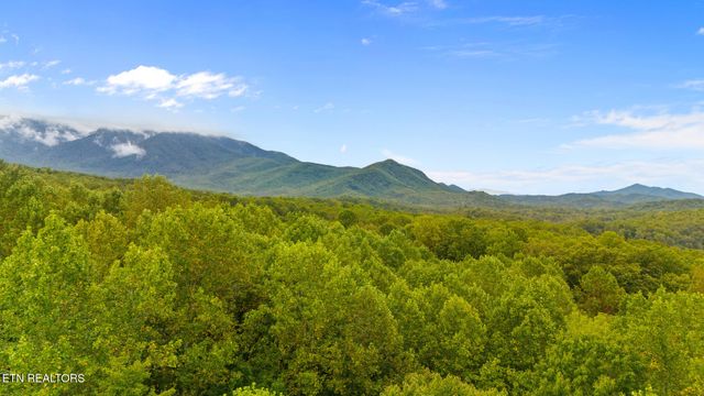 Mountain Laurel Way Way, Cosby, TN 37722