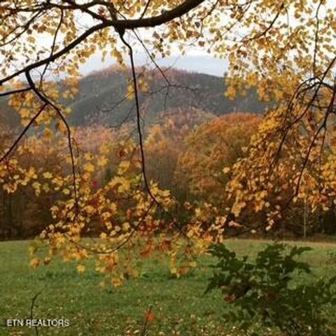Mountain Laurel Way Way, Cosby, TN 37722