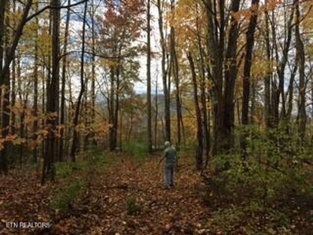 Mountain Laurel Way Way, Cosby, TN 37722