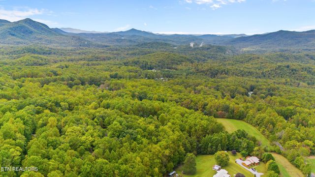 Mountain Laurel Way Way, Cosby, TN 37722