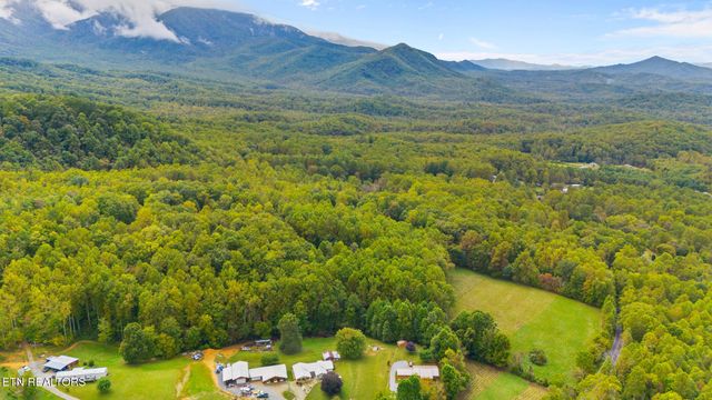 Mountain Laurel Way Way, Cosby, TN 37722