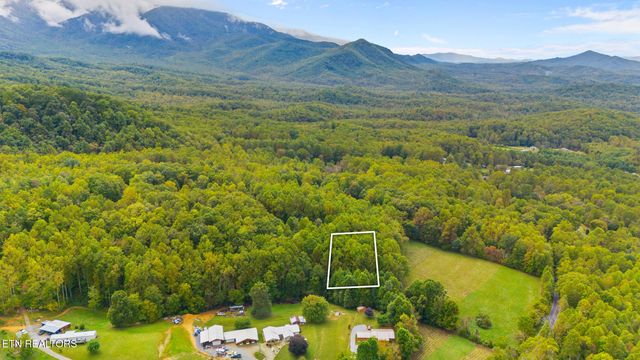 Mountain Laurel Way Way, Cosby, TN 37722