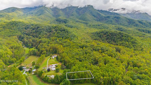 Mountain Laurel Way Way, Cosby, TN 37722