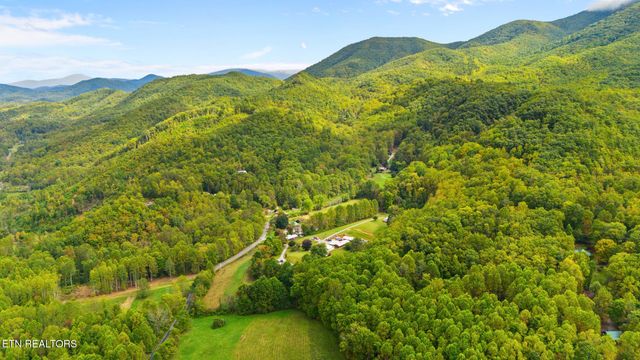 Mountain Laurel Way Way, Cosby, TN 37722