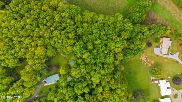 Mountain Laurel Way Way, Cosby, TN 37722