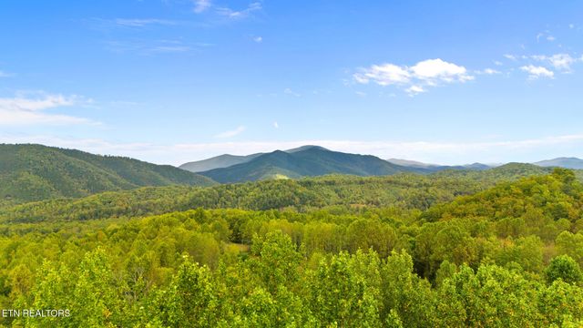 Mountain Laurel Way Way, Cosby, TN 37722