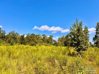 Lot 6C Cotton Lake Rd, Molino, FL 32577