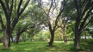 13410 Cullen Boulevard, Houston, TX 77047