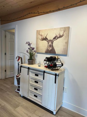 5211 N Red Maple Street, Sauble Twp, MI 49644