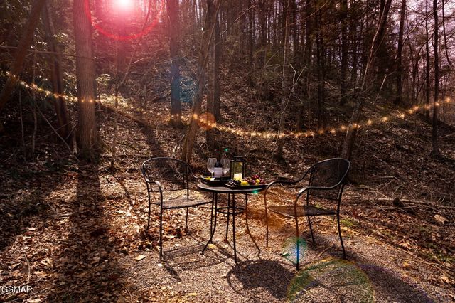 4424 & 4428 Grindstone Ridge Road, Pigeon Forge, TN 37863