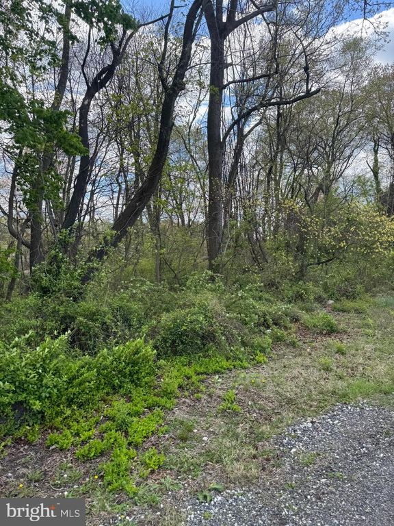 VIRGINIA AVE, Essex, MD 21221