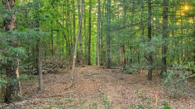 TBD Nicole Lane, Wilkesboro, NC 28697