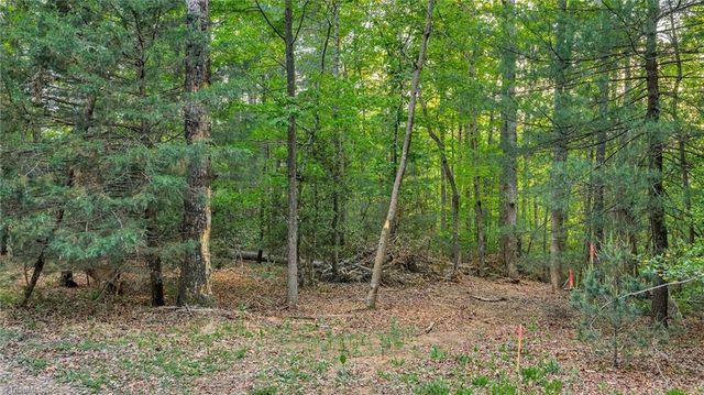 TBD Nicole Lane, Wilkesboro, NC 28697