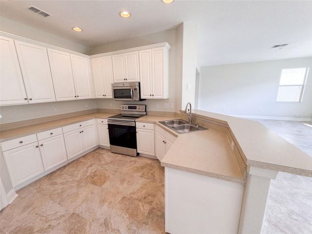 17534 BALMAHA DRIVE, Land O Lakes, FL 34638