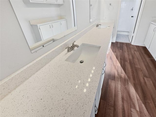 3415 BLOOMINGDALE OAKS DRIVE, Valrico, FL 33596