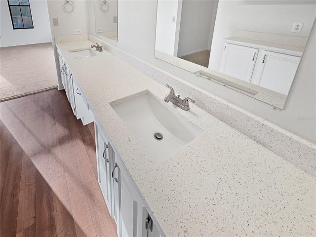 3415 BLOOMINGDALE OAKS DRIVE, Valrico, FL 33596