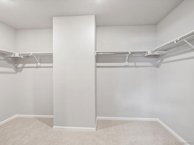 4634 Sugarcane Street, Johnstown, CO 80534