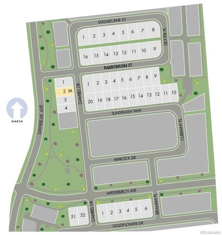 4634 Sugarcane Street, Johnstown, CO 80534