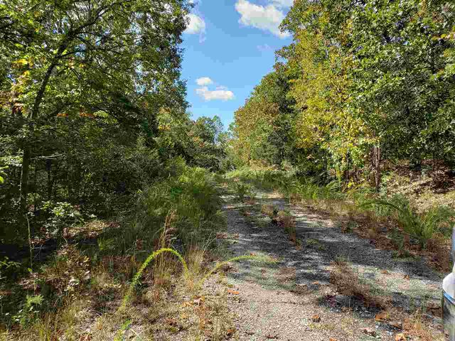 L-55 & 56 B-7 Lochloosa Drive, Cherokee Village, AR 72529