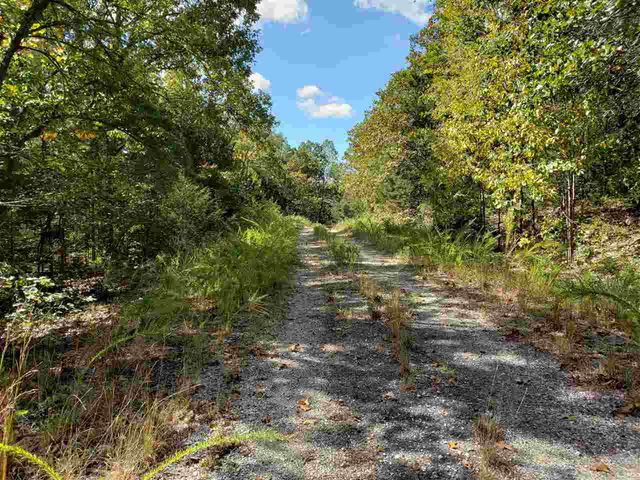 L-55 & 56 B-7 Lochloosa Drive, Cherokee Village, AR 72529