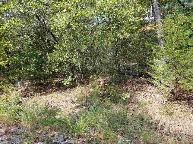L-55 & 56 B-7 Lochloosa Drive, Cherokee Village, AR 72529
