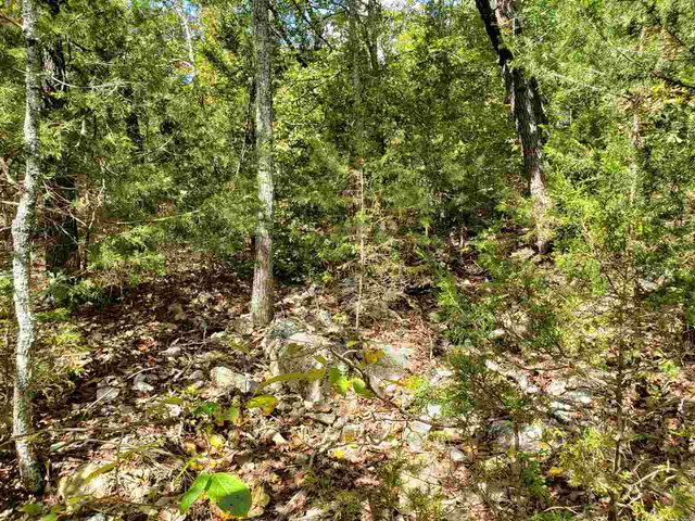 L-55 & 56 B-7 Lochloosa Drive, Cherokee Village, AR 72529